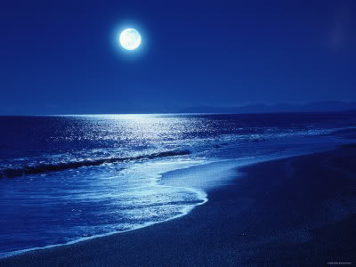 Moonlit Walk on a Beach