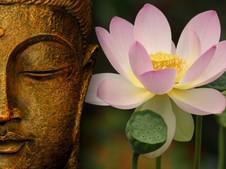 Buddha and the lotus flower
