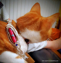 cat jewellery